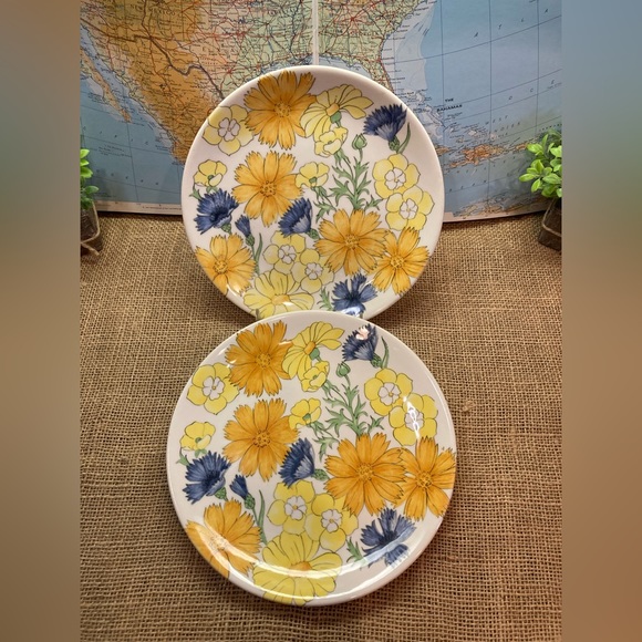 Ernestine Cannon Other - Ernestine Cannon Salerno Italy 2 Salad Plates. MCM. Daisy pattern